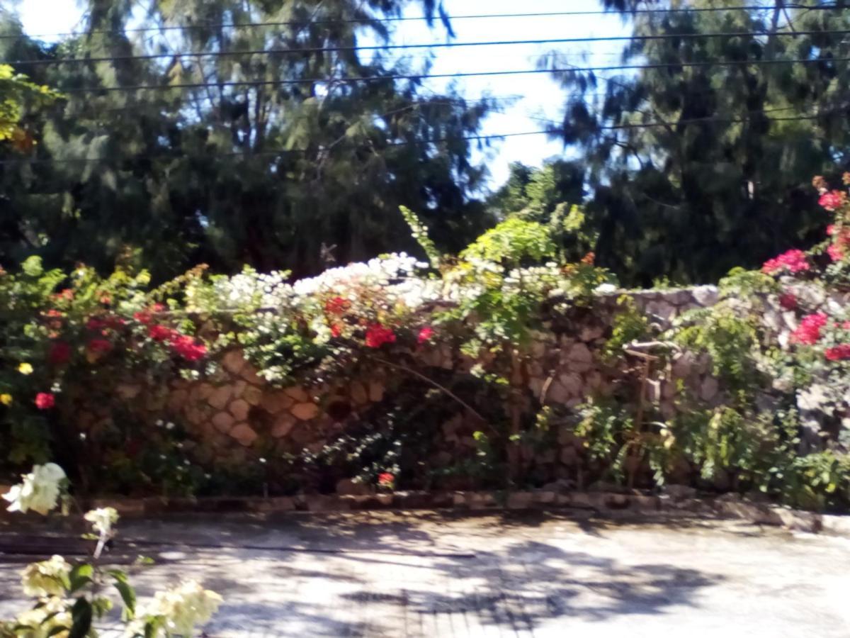 Stoney Gate Cottages Negril Exterior photo